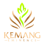 kemang residence